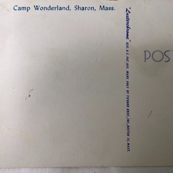 Vintage Lusterchrome Postcard Kittens in Basket Camp Wonderland Collectible u - Picture 3 of 3